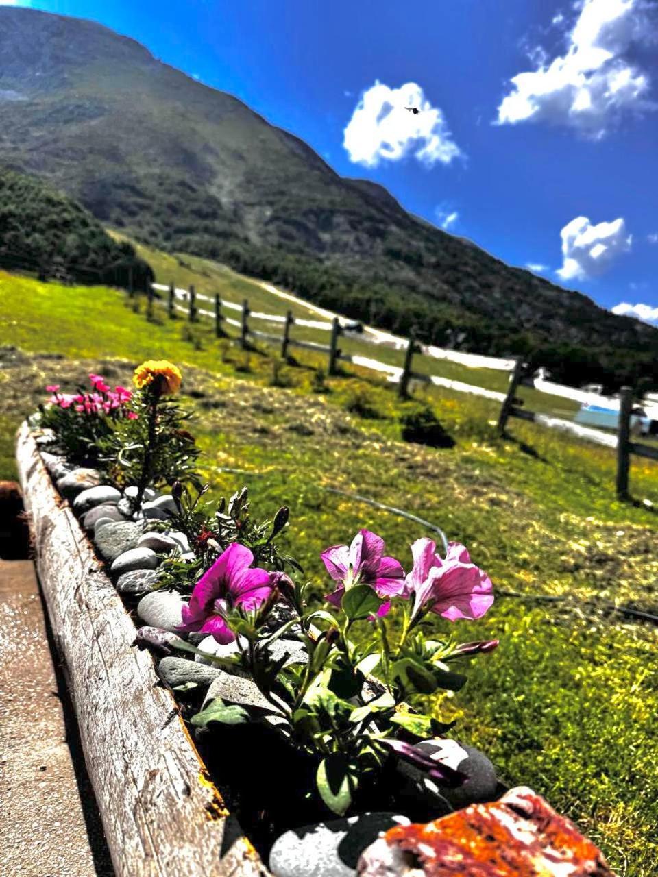 Mountain House Savin Kuk Villa Zabljak  Ngoại thất bức ảnh